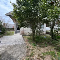 خونه باغ سنددار ۳۸۰ متری قابل سکونت/با ویو شالیزار|فروش زمین و ملک کلنگی|چاف و چمخاله, |دیوار