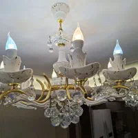 ۲تالوستر۸شاخه ۲تالوستر۳شاخه