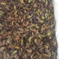 کشمش و مویز افتابی پاک شده|خوردنی و آشامیدنی|نجفآباد, منتظری جنوبی|دیوار