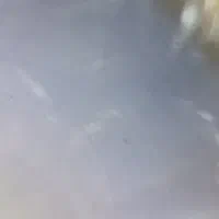 ساینا مدل 95