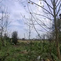 346متر-کامل-مسکونی