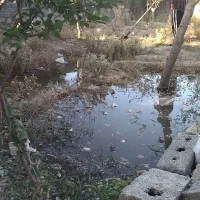 باغچه ۳۸۰متر چهاردیواری نصیرآباد شهریار