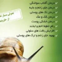 حلزون فروشی|خزنده|نیشابور, امام خمینی|دیوار