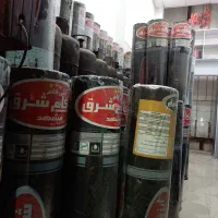 ایزوگام شرق