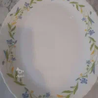 دیس آرکوپال