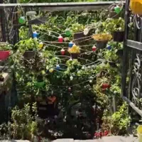 تدریس دروس مقطع ابتدایی اول و دوم