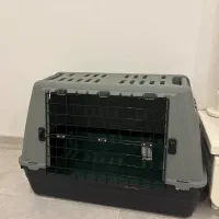 باکس سگ برند ایتالیایی