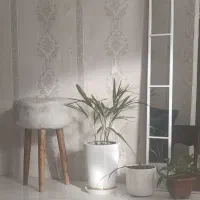 اجاره لاین اتاق و سالن زیبایی