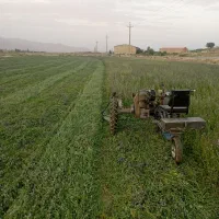 دروگر ایتالیایی  450|ماشین‌آلات صنعتی|اشنویه, |دیوار