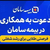 دعوت به همکاری و اشتغال زایی در بیمه سامان