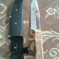 زنجان دوستی