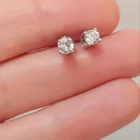 گل گوش نقره