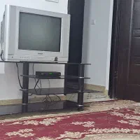 تلویزون