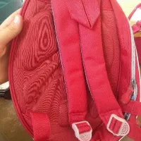 کیف خوراکی و دستی