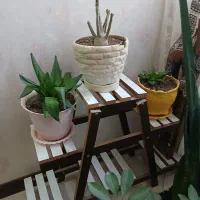 استند گلدان