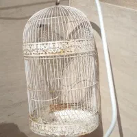 قفس پرنده