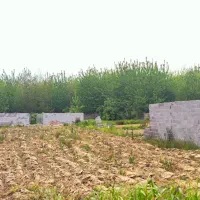 دو قطعه زمین ۹۰۰متری  با پروانه ساخت