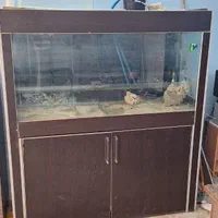 اکواریوم