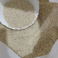 برنج هاشمی معطر محصول منطقه دره رود شهرانگوت مغان