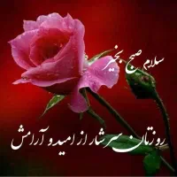 پرستار خانم برای سالمند خانم