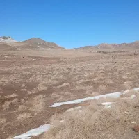 سه هکتار زمین کشاورزی صنعتی مناسب گلخانه دامداری .
