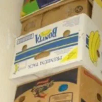 کارتن موز