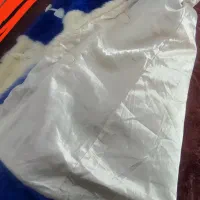 پالتو خز دار نو نو نو|لباس|تهران, والفجر (افسریه)|دیوار