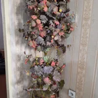 گل بزرگ پاییزی تمیز و سالم دو متر