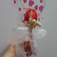 هدیه روز دانش آموز|صنایع دستی و سایر لوازم تزئینی|قم, خاکفرج|دیوار
