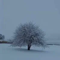 فروش زمین شهرک