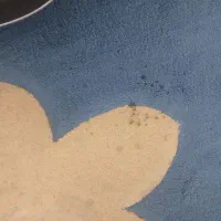 موکت