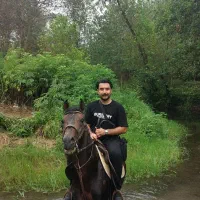 اجاره ساعتی اسب