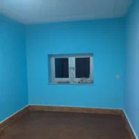 نقاشی،طراحی،ترمیم،|خدمات پیشه و مهارت|کلاله, |دیوار