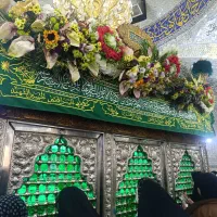 کربلا زمینی هوایی|تور و چارتر|فولادشهر, B4|دیوار