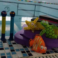 آموزش شنا استخر صدرا