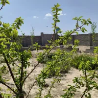 باغچه-250متری-سنددار