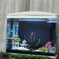 اکواریوم ماهیران فول وسایل قیمت مفت تا امروز