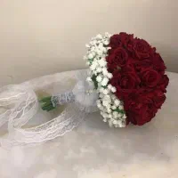 فروش بصورت شاخه تکی برای پارتنرتون و چند تایی|کنسول، بازی ویدئویی و آنلاین|خرم‌آباد, |دیوار