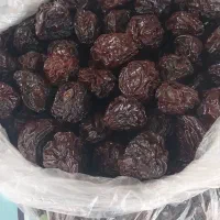 الوبخارا زرد طلایی بوانات|خوردنی و آشامیدنی|شیراز, ریاستی|دیوار