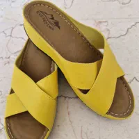 دمپایی طبی|کیف، کفش، کمربند|تهران, قیام|دیوار