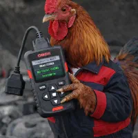 باطری سازی برق خودرو مکانیک خودرو سیار