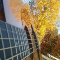 تدریس خصوصی گیتار مدرس خانم