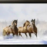 تابلو ۵۰ در ۷۰