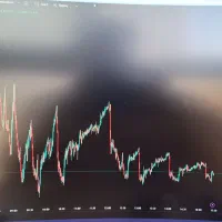 تریدر 100٪ موفق