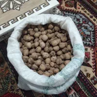 گردو کاغذی فوق اعلا درجه یک|خوردنی و آشامیدنی|ارشق, |دیوار