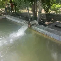 زمین باغشهری 1400مترظفر آبادفروش نصف قیمت منطقه