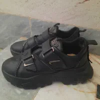 کفش کتانی