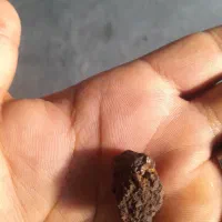 شهاب سنگ|کلکسیون اشیاء عتیقه|گله دار, |دیوار