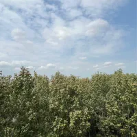 واحد 186متری دو قدمی استخر لاهیجان|اجارهٔ آپارتمان|لاهیجان, کوی خزر|دیوار