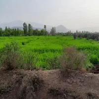 زمین مناسب باغ وویلا